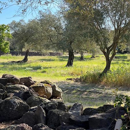 Muristene Pozzo Santa Cristina Paulilatino Экстерьер фото