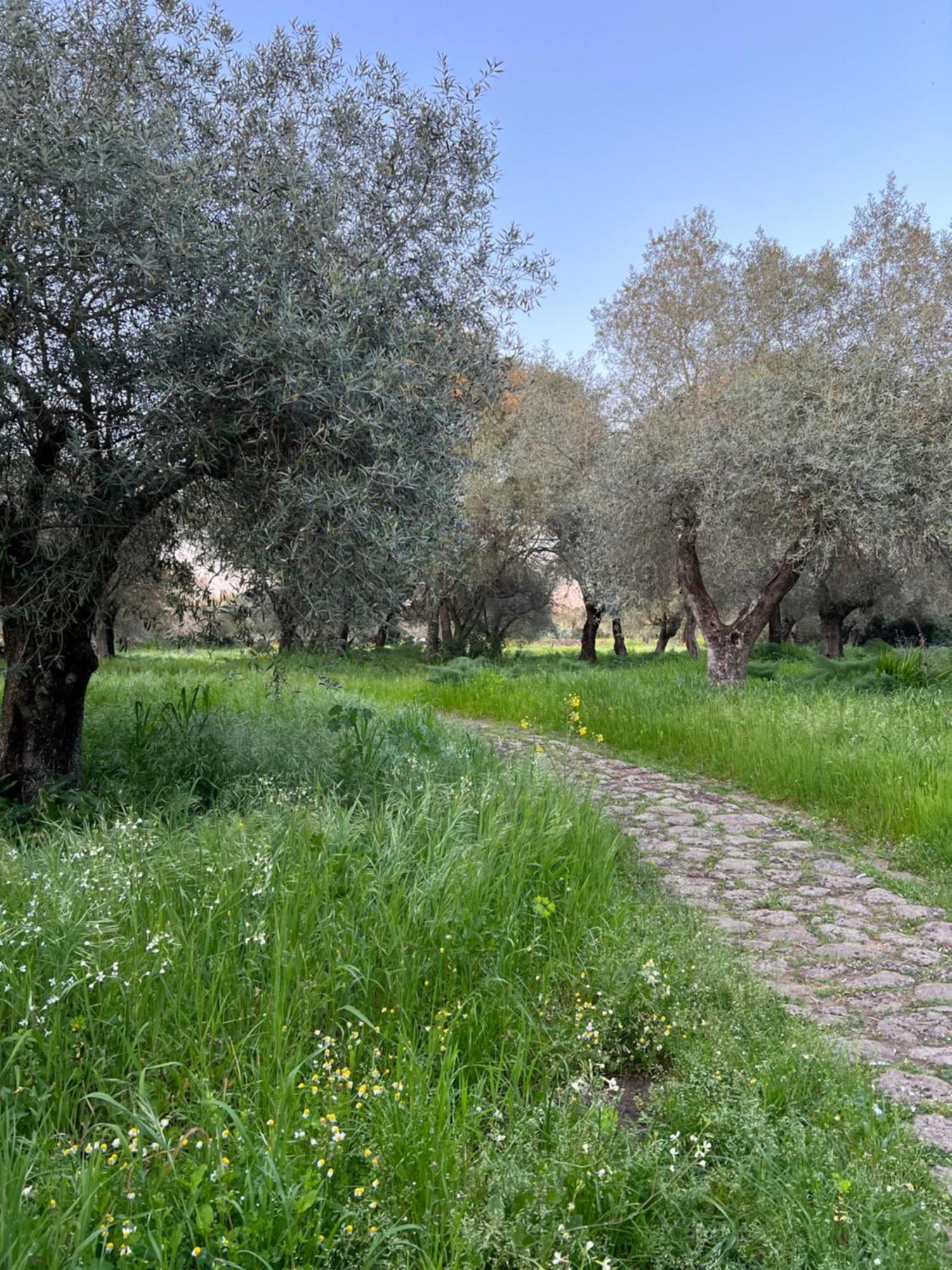 Muristene Pozzo Santa Cristina Paulilatino Экстерьер фото