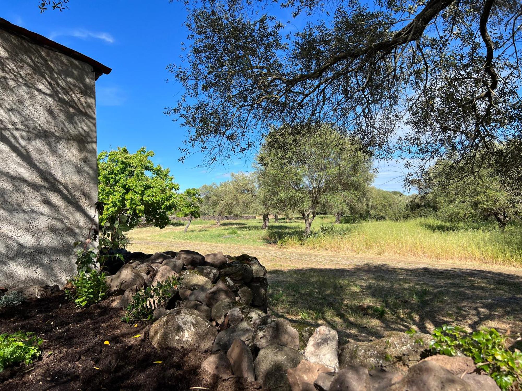 Muristene Pozzo Santa Cristina Paulilatino Экстерьер фото
